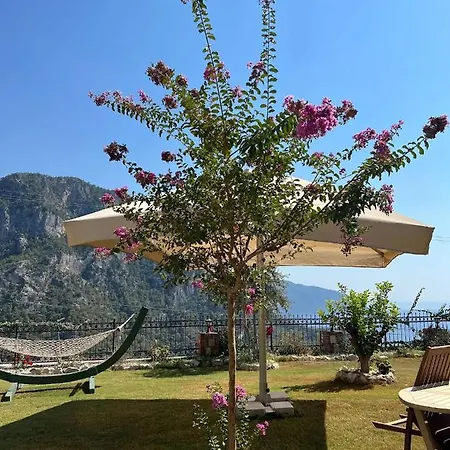 Kalabantia House 4*
