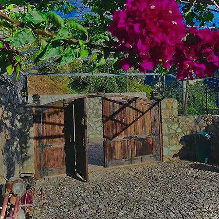 Kalabantia House 4*